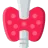 Thyroid